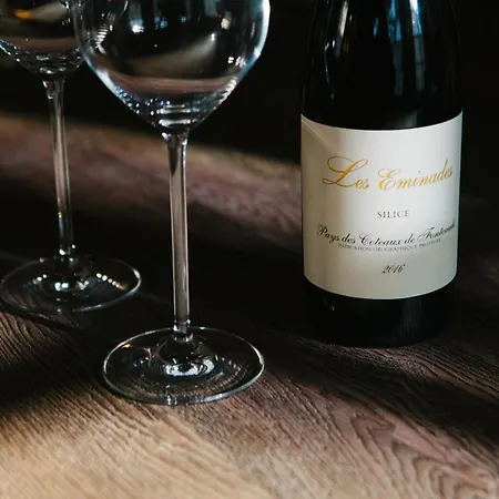 Friday Gent, Exclusive Charming Гент