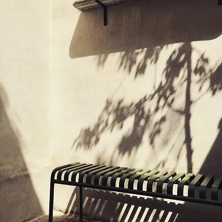 Friday Gent, Exclusive Charming * Гент